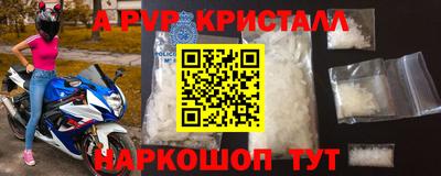 стафф Дубна