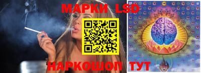 стафф Дубна