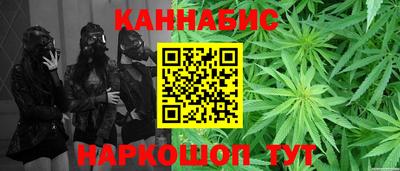 стафф Дубна