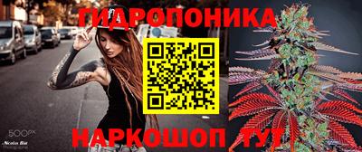 стафф Дубна