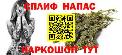 стафф Дубна
