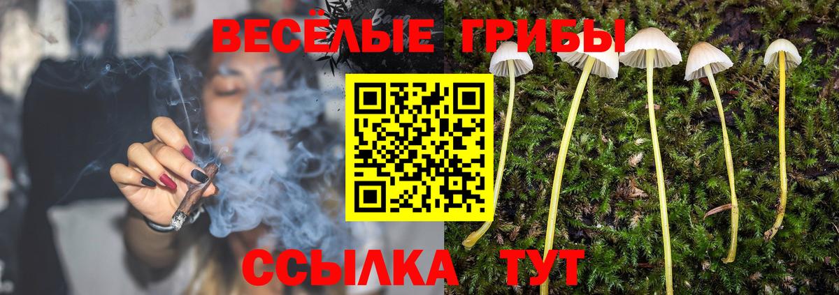 Псилоцибиновые грибы мицелий  Галлюциногенные грибы GOLDEN TEACHER  Вход с VPN  Минеральные Воды 